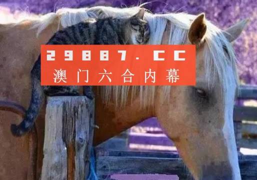 澳门4949开奖结果最快;-词语释义解释落实