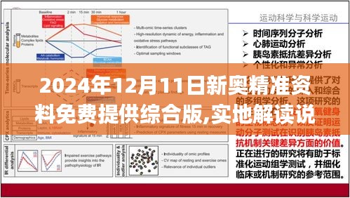 2025新奥精准资料免费大全078期,深度解答解释落实_p2b08.9